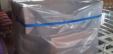 Organ In a Plastic Bag Organ In a Plastic Bag